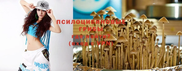 амф Медвежьегорск