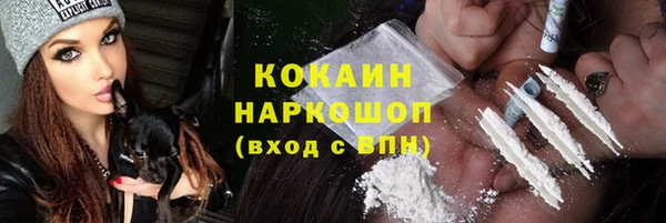 СК Медногорск