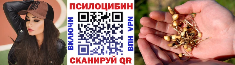 закладка  нарко площадка телеграм  Галлюциногенные грибы мухоморы  Нижневартовск 