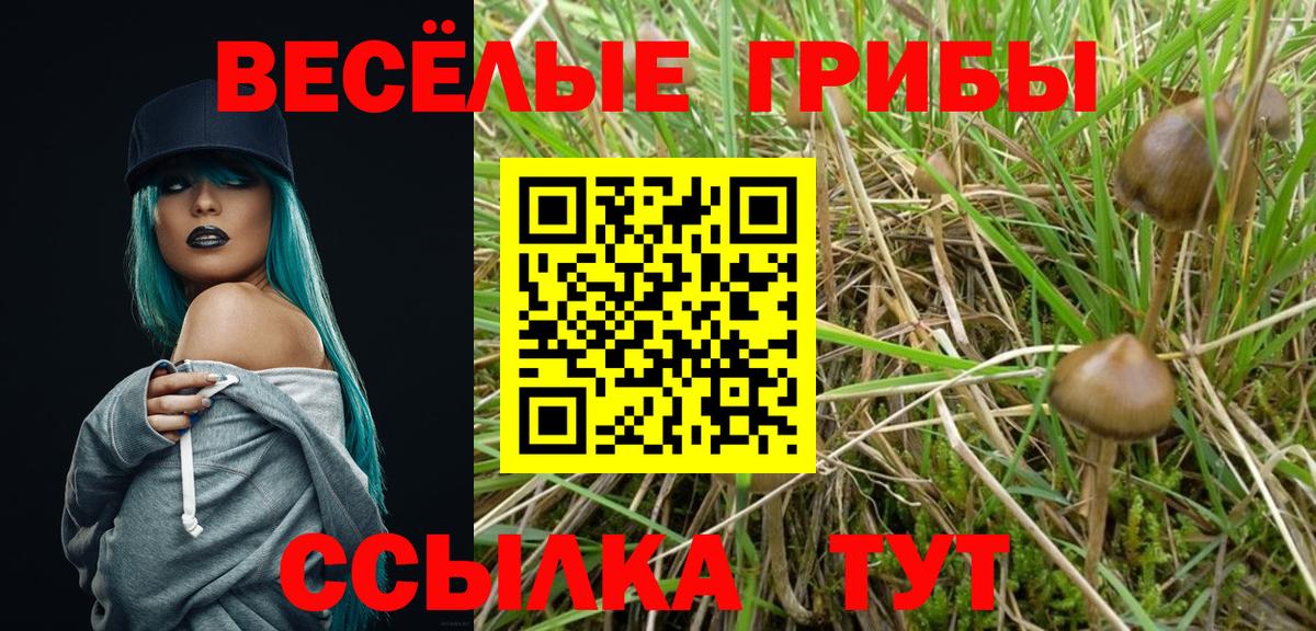 Псилоцибиновые грибы ЛСД Нижневартовск