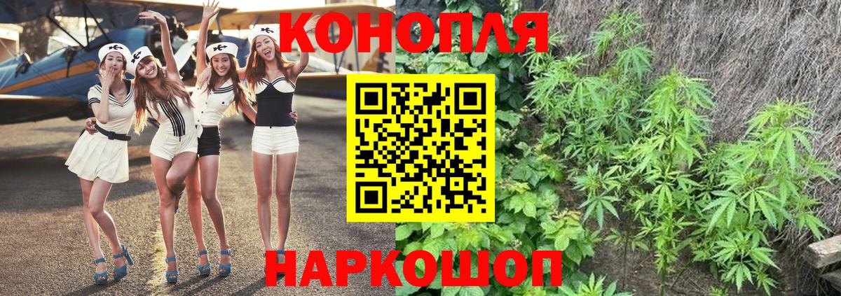 Каннабис планчик Нижневартовск
